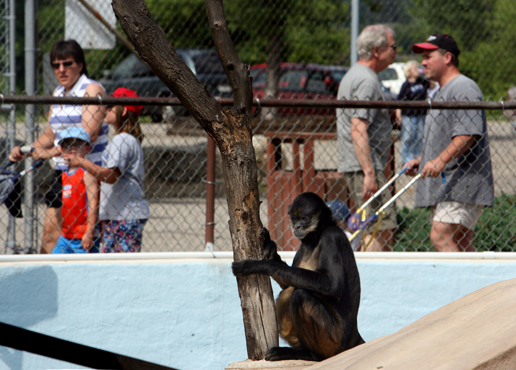 Myrick Park Zoo